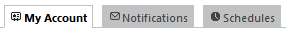 Account Settings Tabs